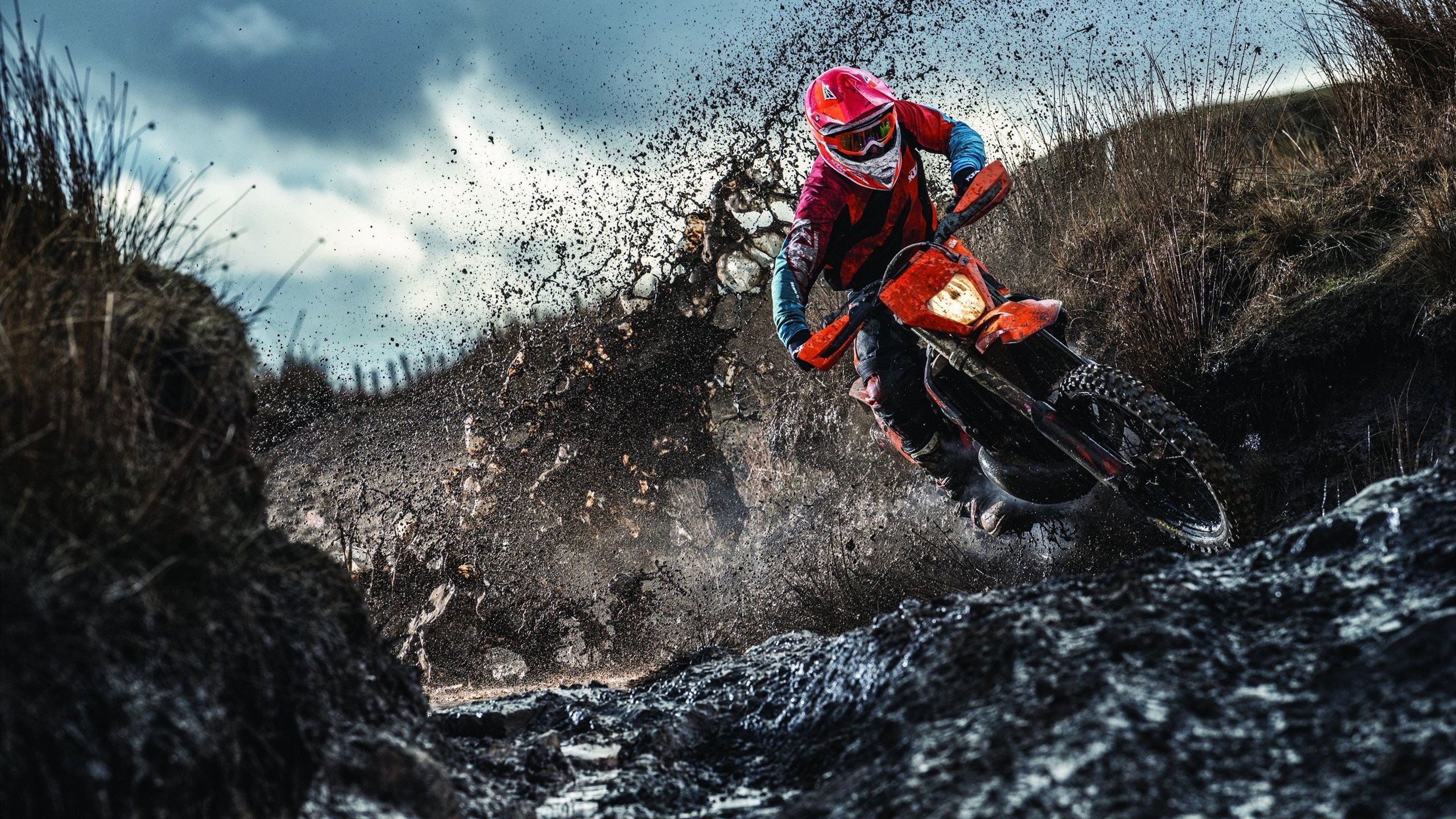 塔图姆爆冷击败独行侠，出色防守引爆全场！